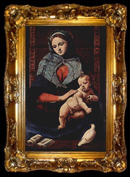 framed  Piero di Cosimo Taubenmadonna, ta009-2